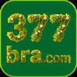 377bra Official v4.5.4