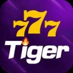 777tiger Live Casino Super